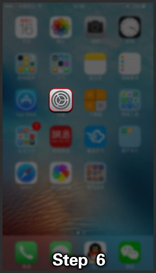 Step 6: iPhone home screen with the Settings app highlighted.